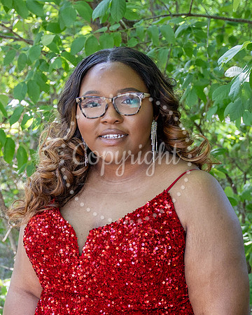 2025-Mariah Lane, 25-015