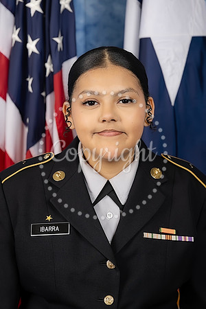 M. Ibarra