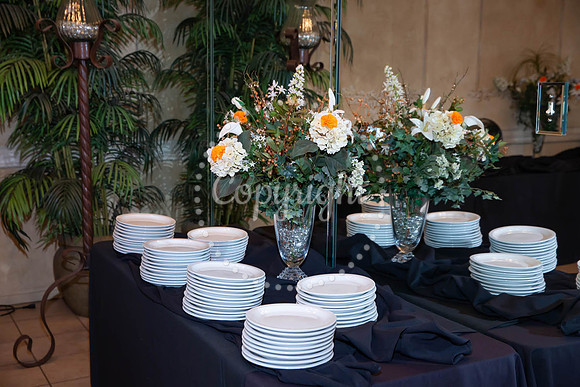 2023 Daphne's 60th-028
