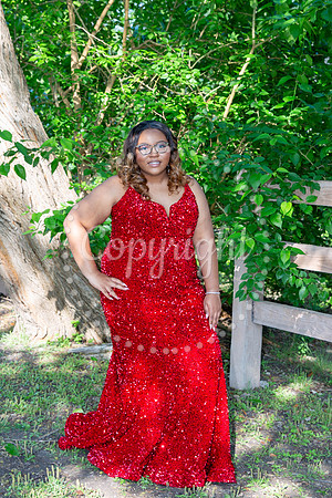 2025-Mariah Lane, 25-001