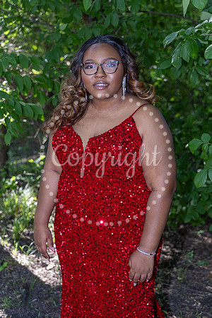 2025-Mariah Lane, 25-019