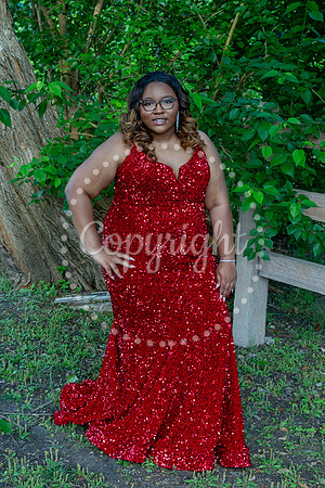 2025-Mariah Lane, 25-004