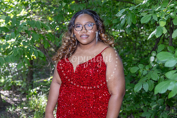2025-Mariah Lane, 25-017